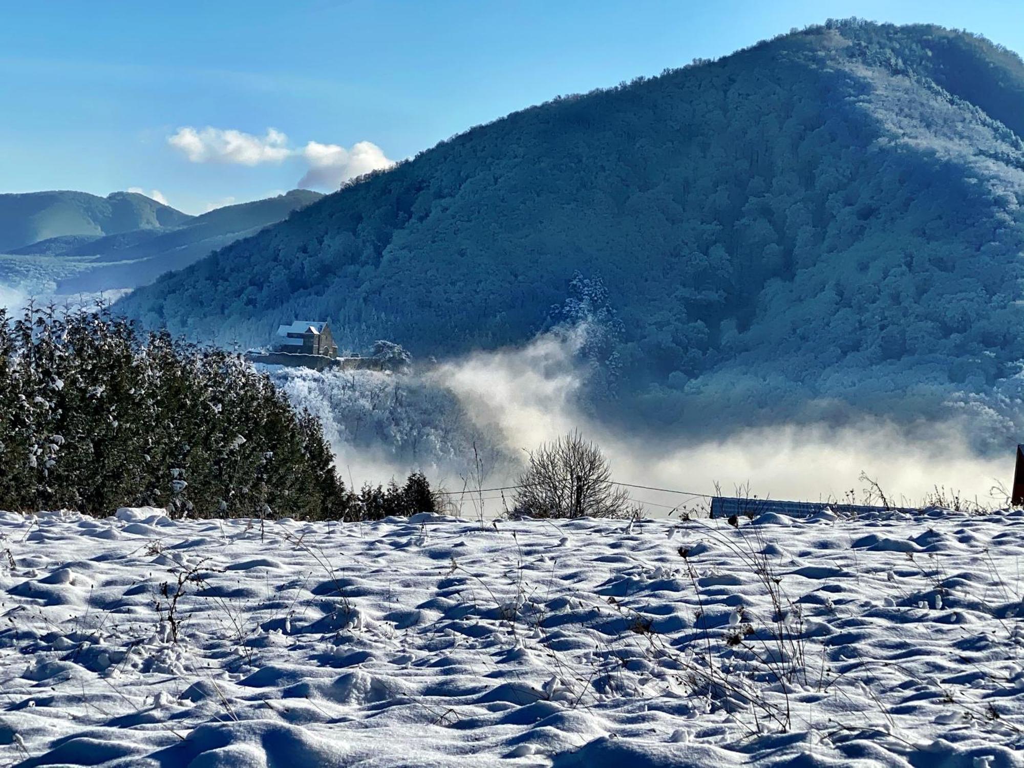 Pensiunea Apfelhaus Cisnadioara Exteriér fotografie
