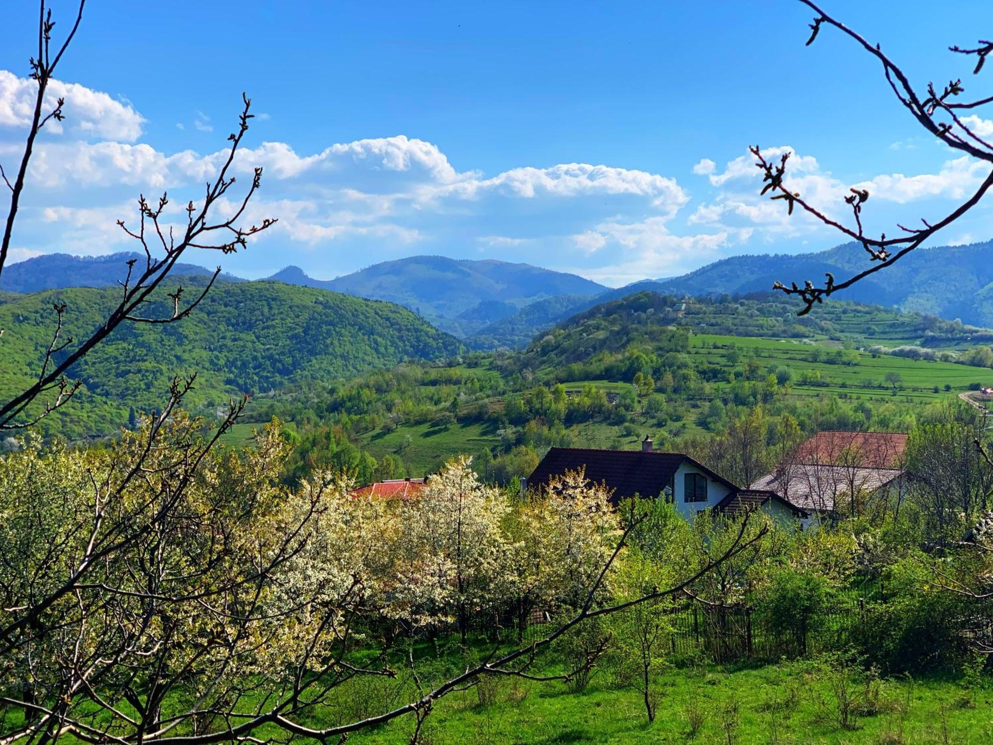 Pensiunea Apfelhaus Cisnadioara Exteriér fotografie